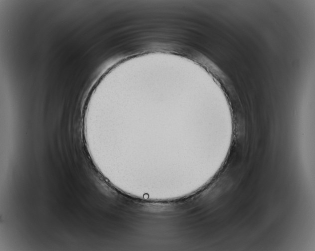 X0000086070836200704132038