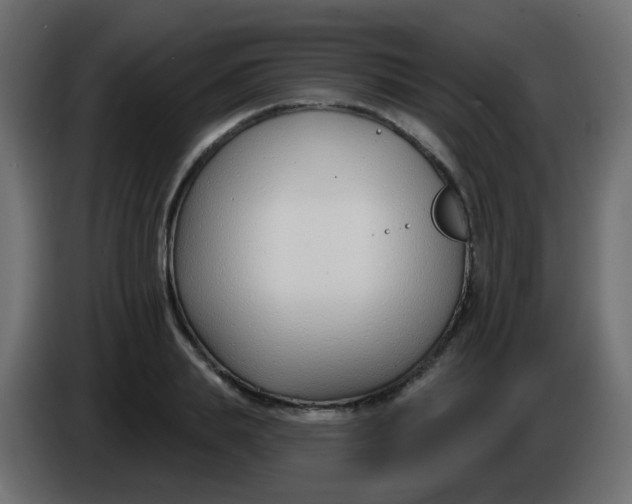 X0000086070839200704132038