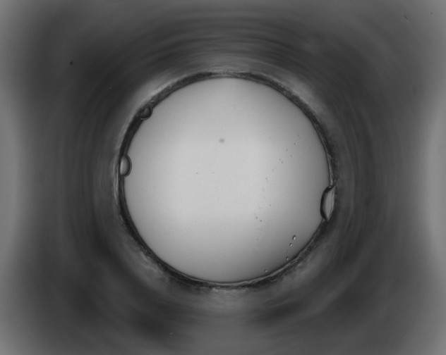 X0000086070840200704132038