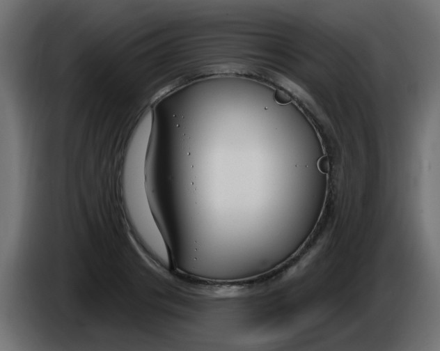 X0000086070841200704132038