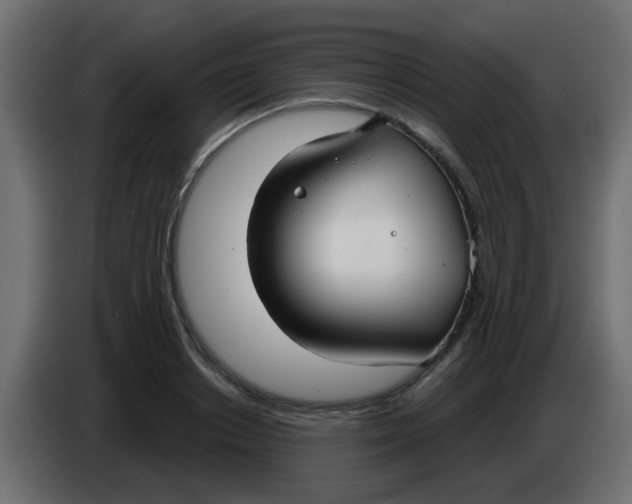 X0000086070842200704132038