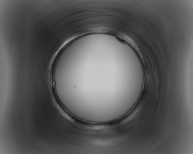 X0000086070843200704132038