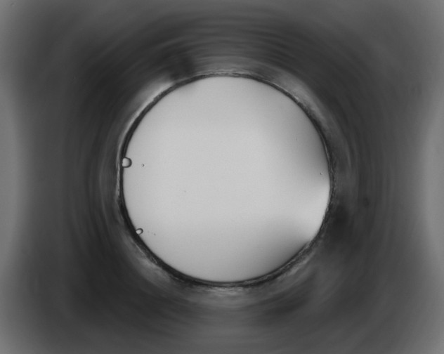 X0000086070844200704132038