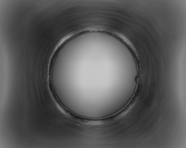 X0000086070845200704132038