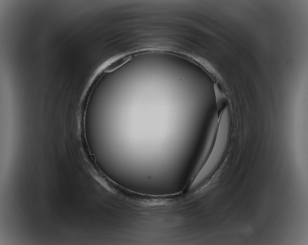 X0000086070846200704132038