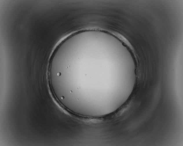 X0000086070847200704132038