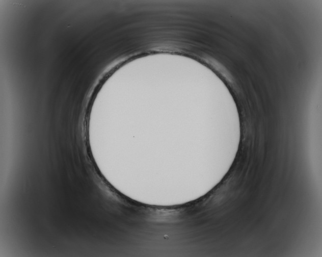X0000086070848200704132038