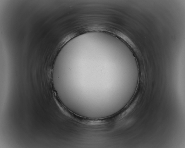 X0000086070849200704132038