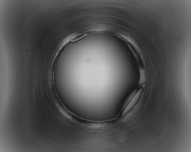 X0000086070850200704132038
