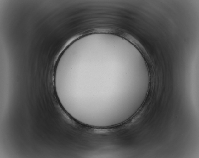 X0000086070852200704132039