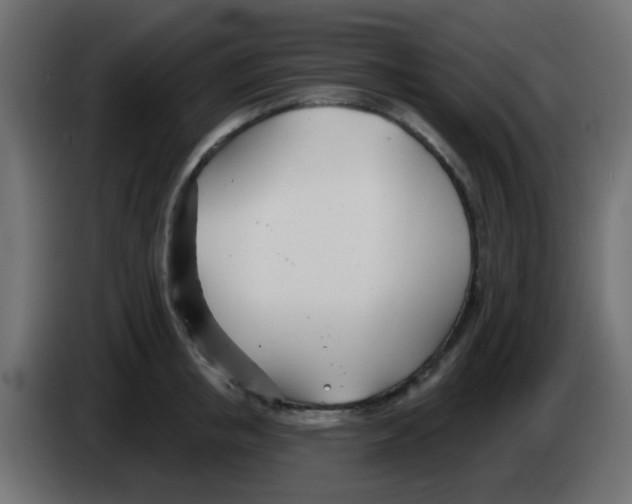 X0000086070853200704132039