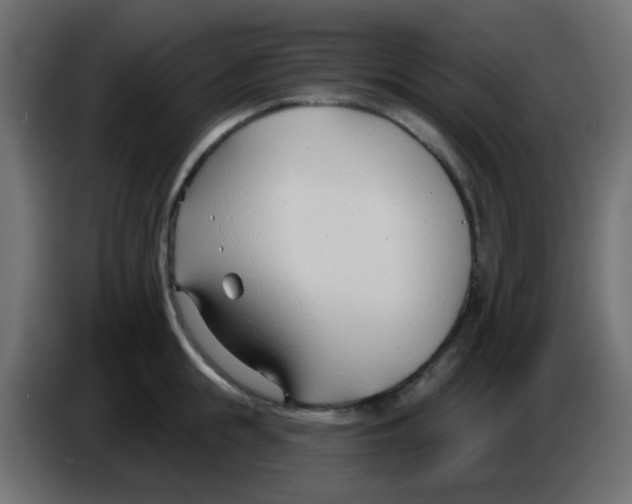 X0000086070855200704132039
