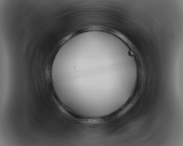 X0000086070857200704132039