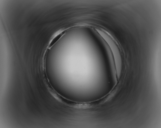 X0000086070858200704132039