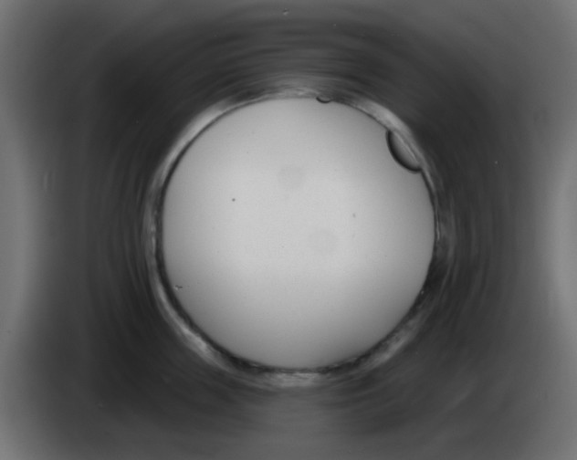X0000086070859200704132039