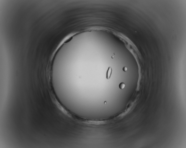 X0000086070860200704132039