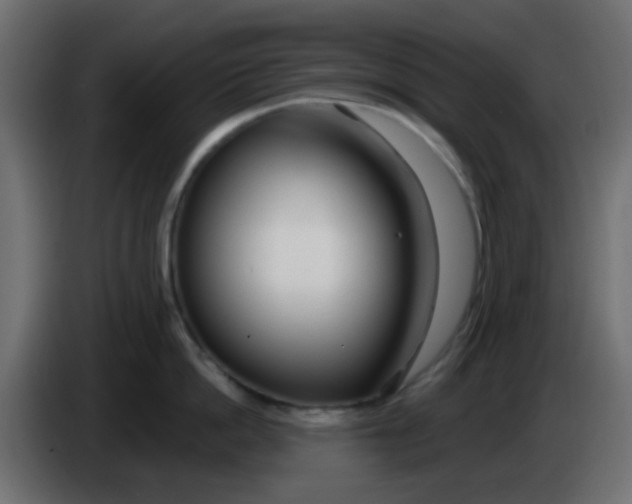 X0000086070862200704132039