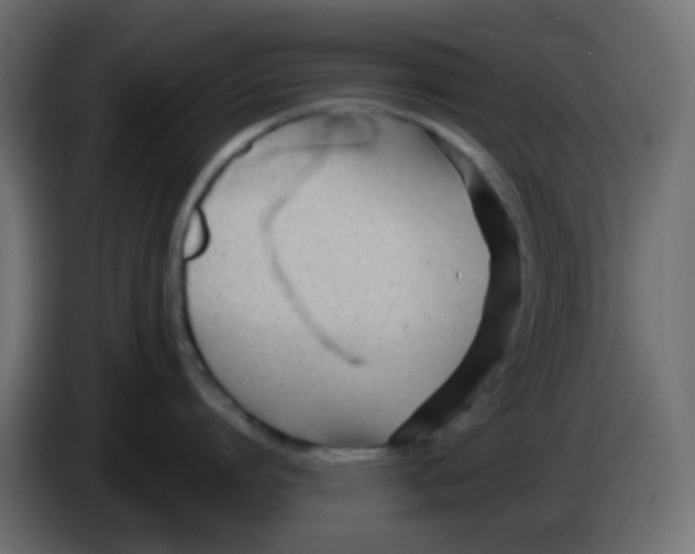 X0000086070864200704132039