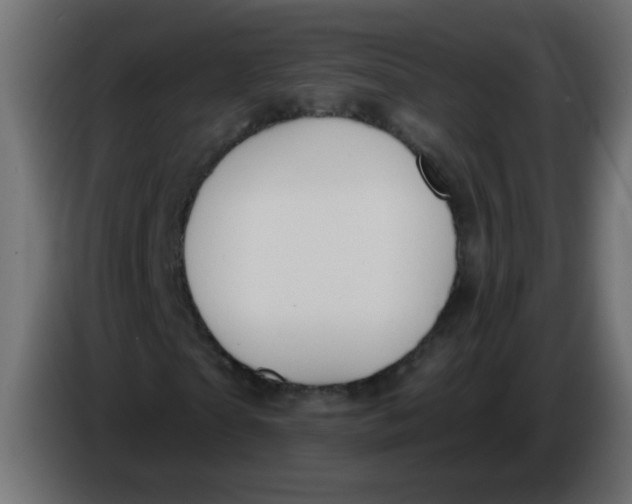 X0000086070865200704132038