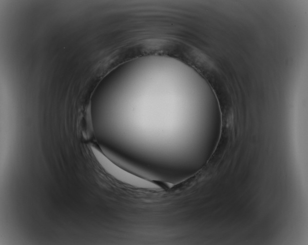 X0000086070868200704132038