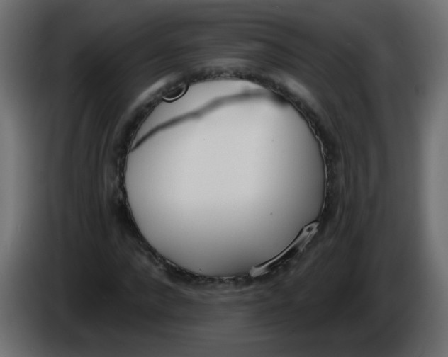 X0000086070872200704132038