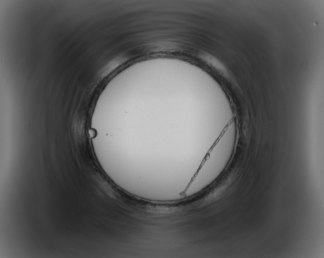 X0000086070873200704132038
