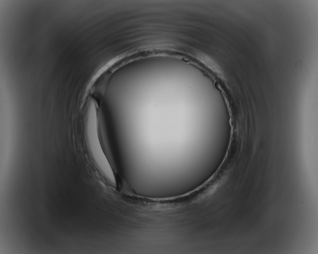 X0000086070877200704132038