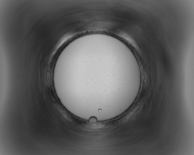 X0000086070878200704132038