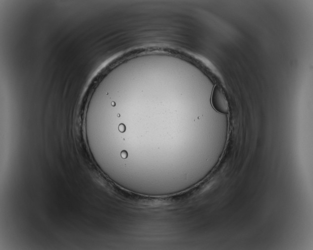 X0000086070879200704132038