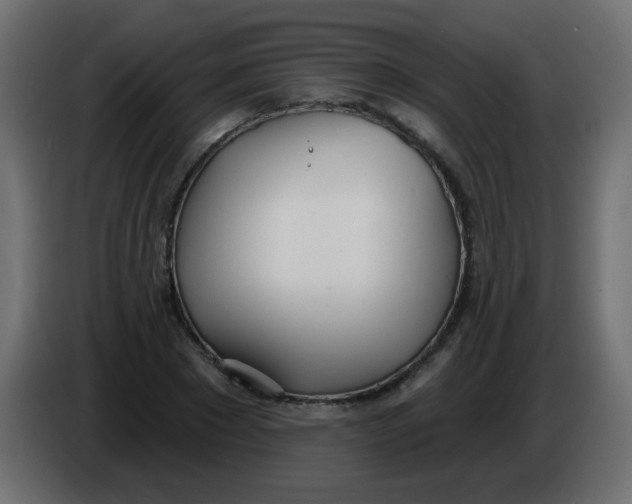 X0000086070881200704132038