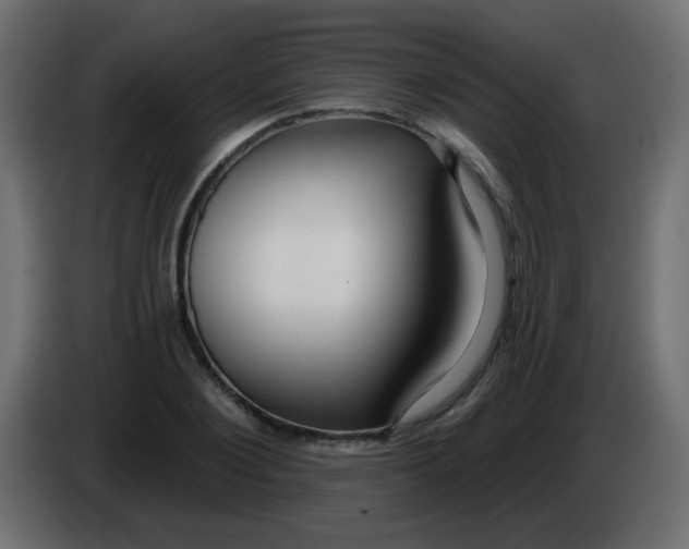 X0000086070884200704132038