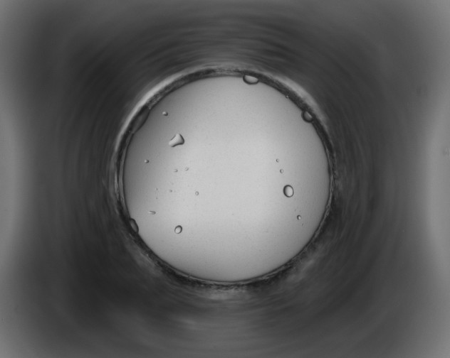 X0000086070887200704132038