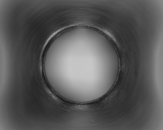 X0000086070888200704132038