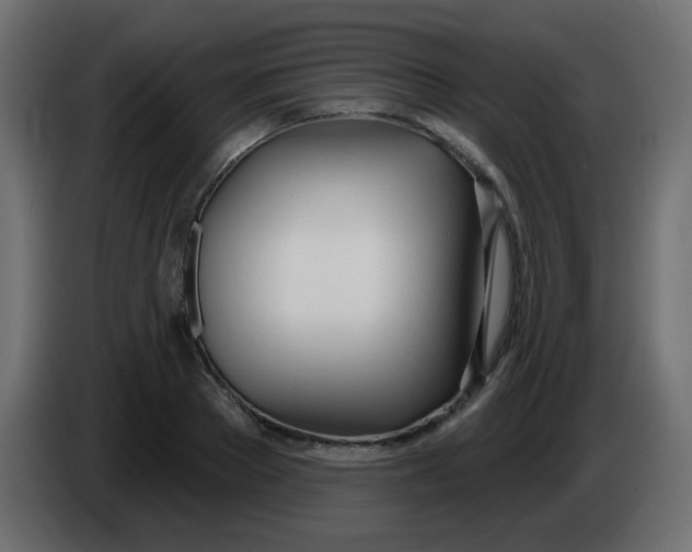 X0000086070889200704132038
