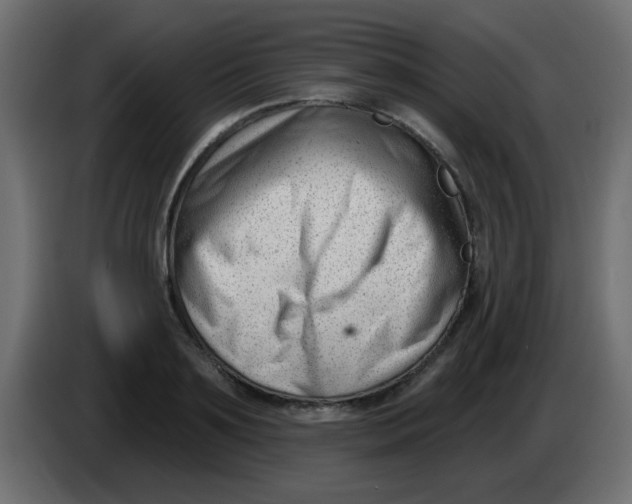 X0000086070891200704132038