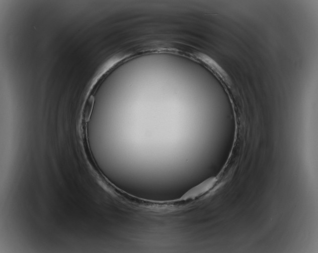 X0000086070893200704132038