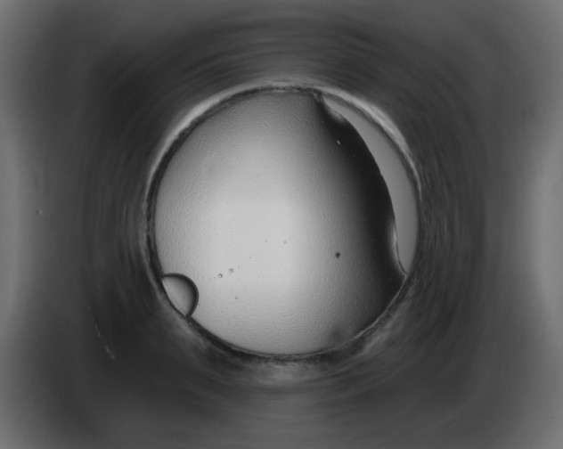 X0000086070895200704132038