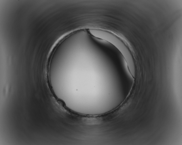 X0000086070896200704132038