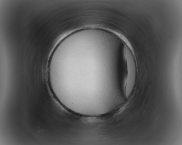 X0000086070903200704132037