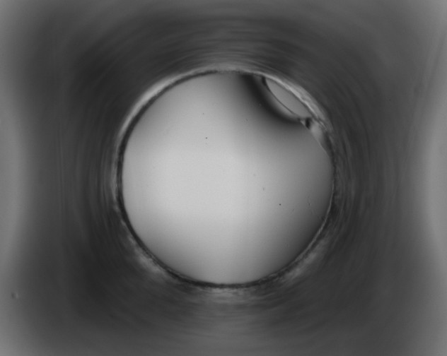 X0000086070904200704132037