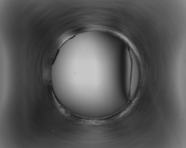 X0000086070905200704132037
