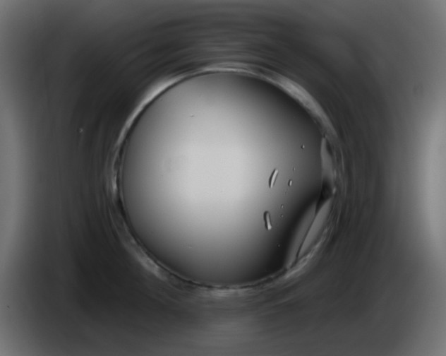 X0000086070908200704132037