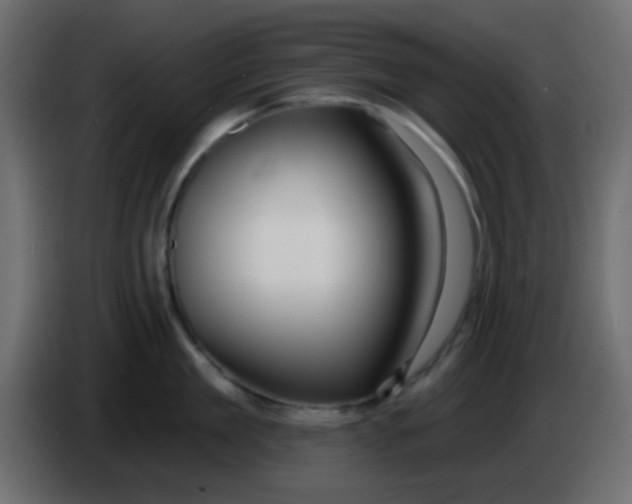 X0000086070909200704132037