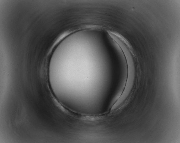 X0000086070910200704132037