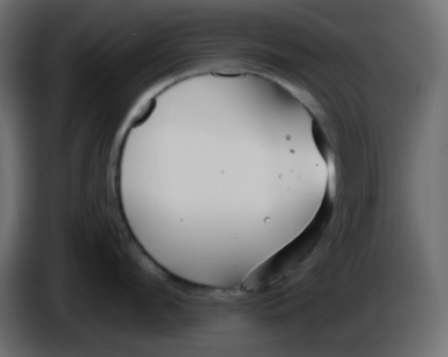 X0000086070912200704132037