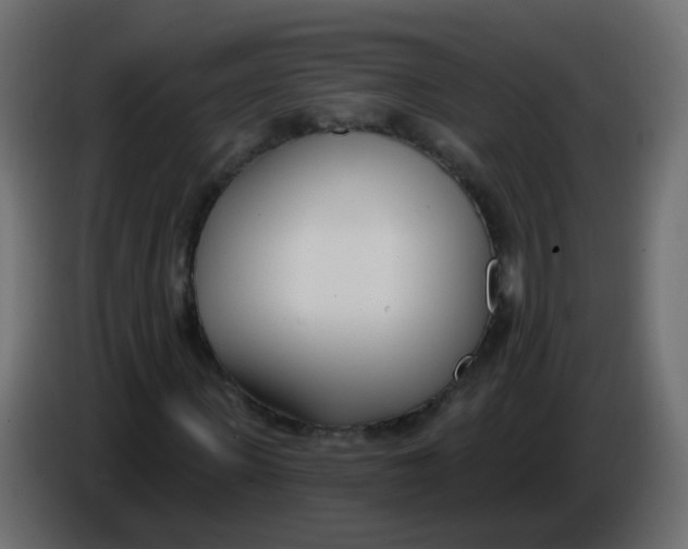 X0000086070915200704132037