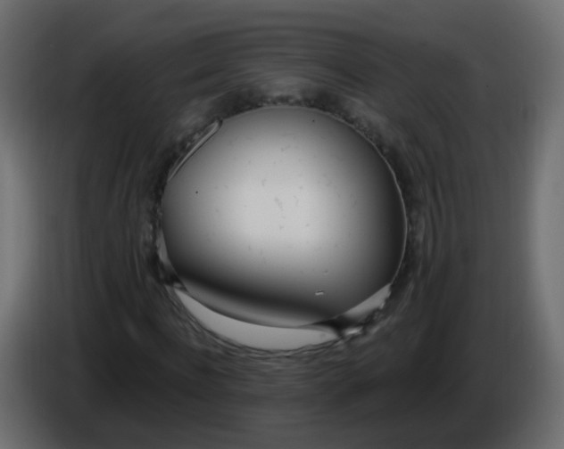 X0000086070916200704132037