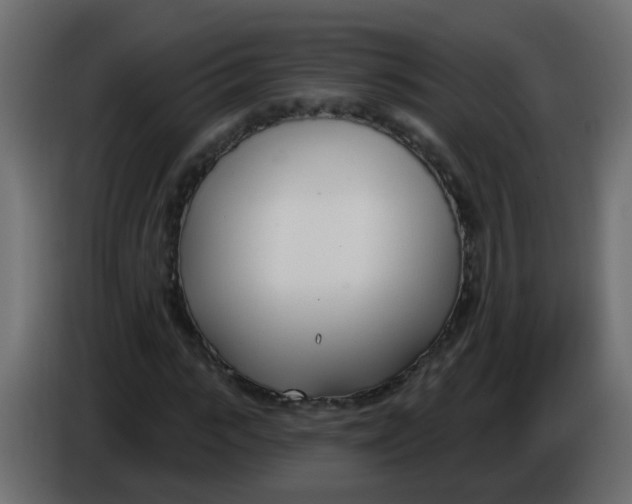 X0000086070919200704132037