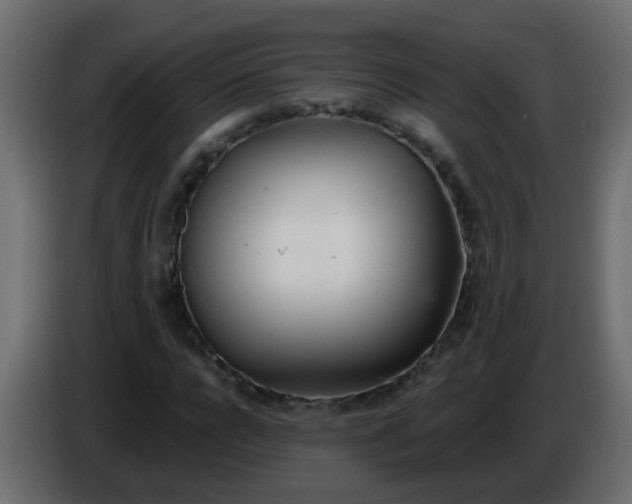 X0000086070920200704132037