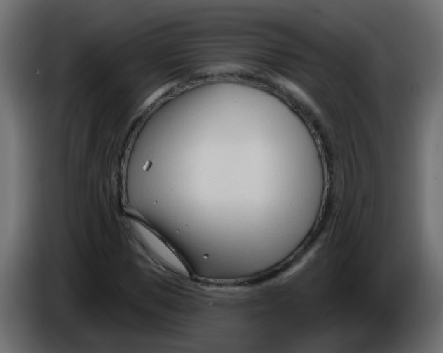 X0000086070921200704132037